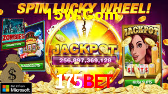 Premium Interface 175BET